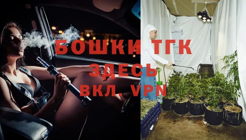 Бошки Шишки индика  Тавда 